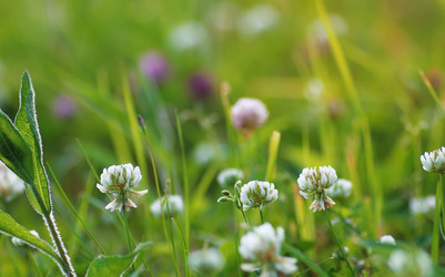 Similar image 13055464