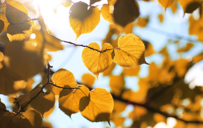 Similar image 13055543