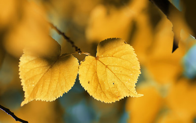 Similar image 13055829