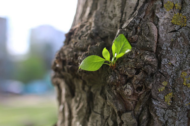 Similar image 13057491