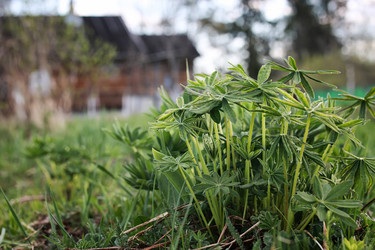 Similar image 13040465