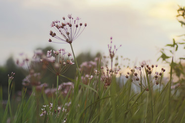 Similar image 13054332