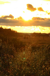 Similar image 13054486