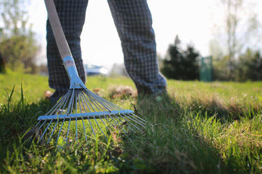 Similar image 13040428