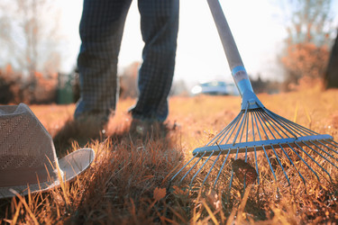 Similar image 13040501