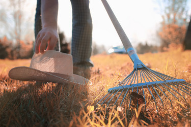 Similar image 13054153