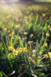 Similar image 13054390