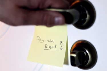 Similar image 13054208