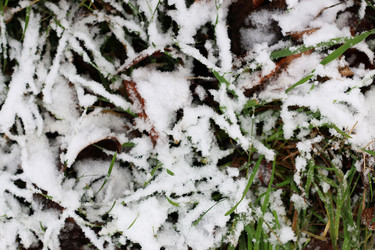 Similar image 13055606