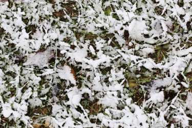 Similar image 13055624