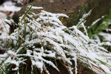 Similar image 13055641