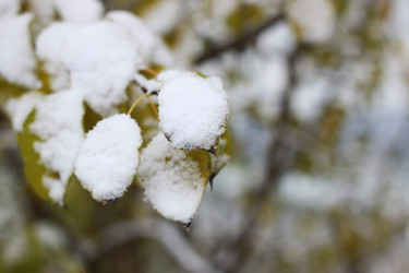 Similar image 13055916