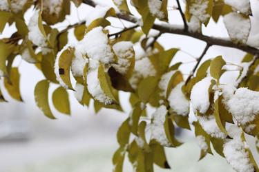 Similar image 13056017