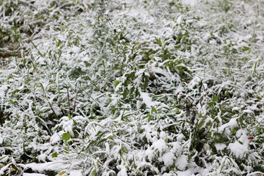 Similar image 13056035