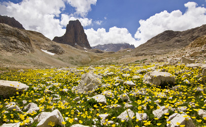 Similar image 13029589