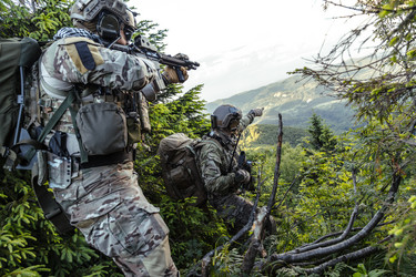 Similar image 13002817