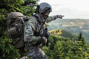 Similar image 13002819