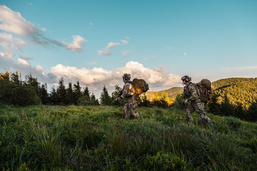 Similar image 13002822