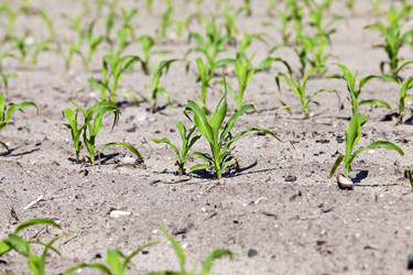 Similar image 13047411