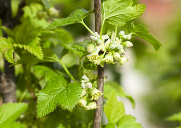 Similar image 13047534