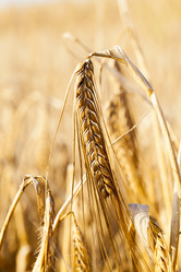 Similar image 13047594