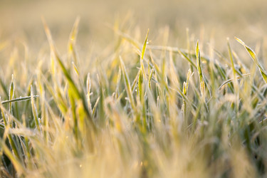 Similar image 13047595