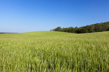 Similar image 13047774