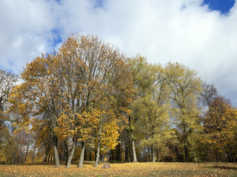 Similar image 13047790