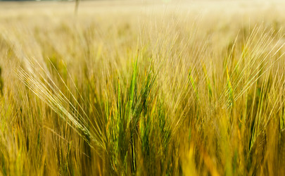 Similar image 13047851