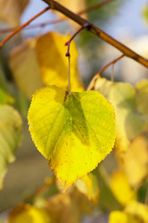 Similar image 13047170