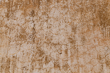 Similar image 13047171