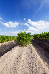 Similar image 13047215