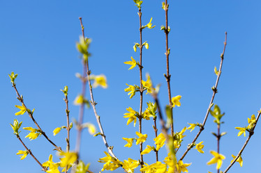 Similar image 13047237