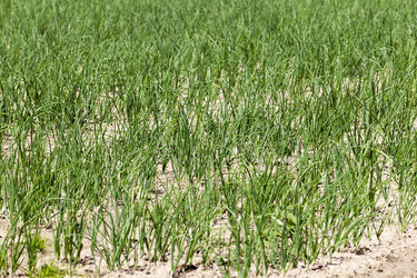 Similar image 13047254