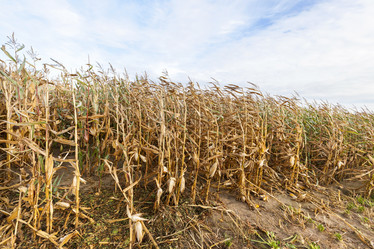 Similar image 13047351