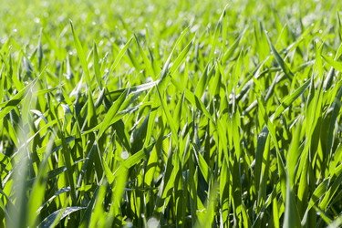 Similar image 13047352