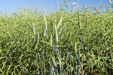 Similar image 13047353