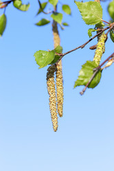 Similar image 13047367