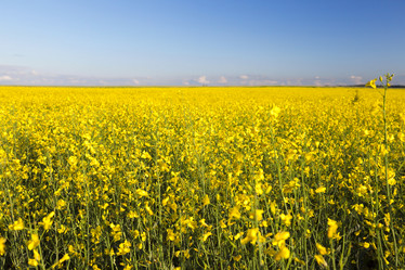 Similar image 13047415