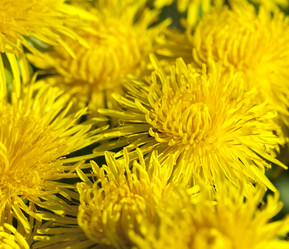 Similar image 13047476