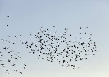 Similar image 13047832