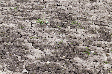 Similar image 13047912