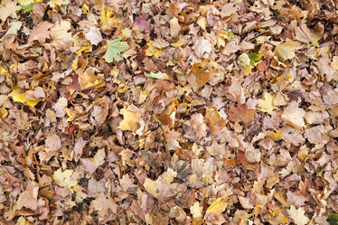 Similar image 13047928