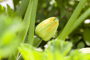 Similar image 13047154