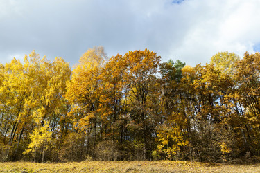 Similar image 13047173