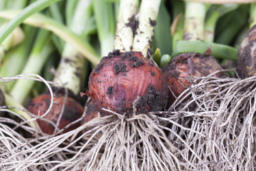 Similar image 13047217