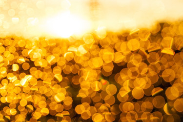 Similar image 13047255