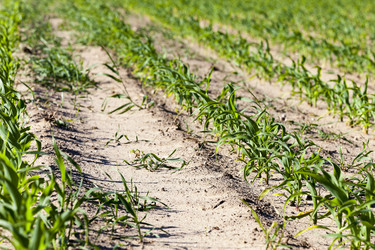 Similar image 13047296