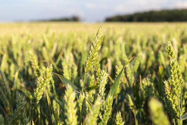 Similar image 13047354