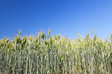 Similar image 13047369